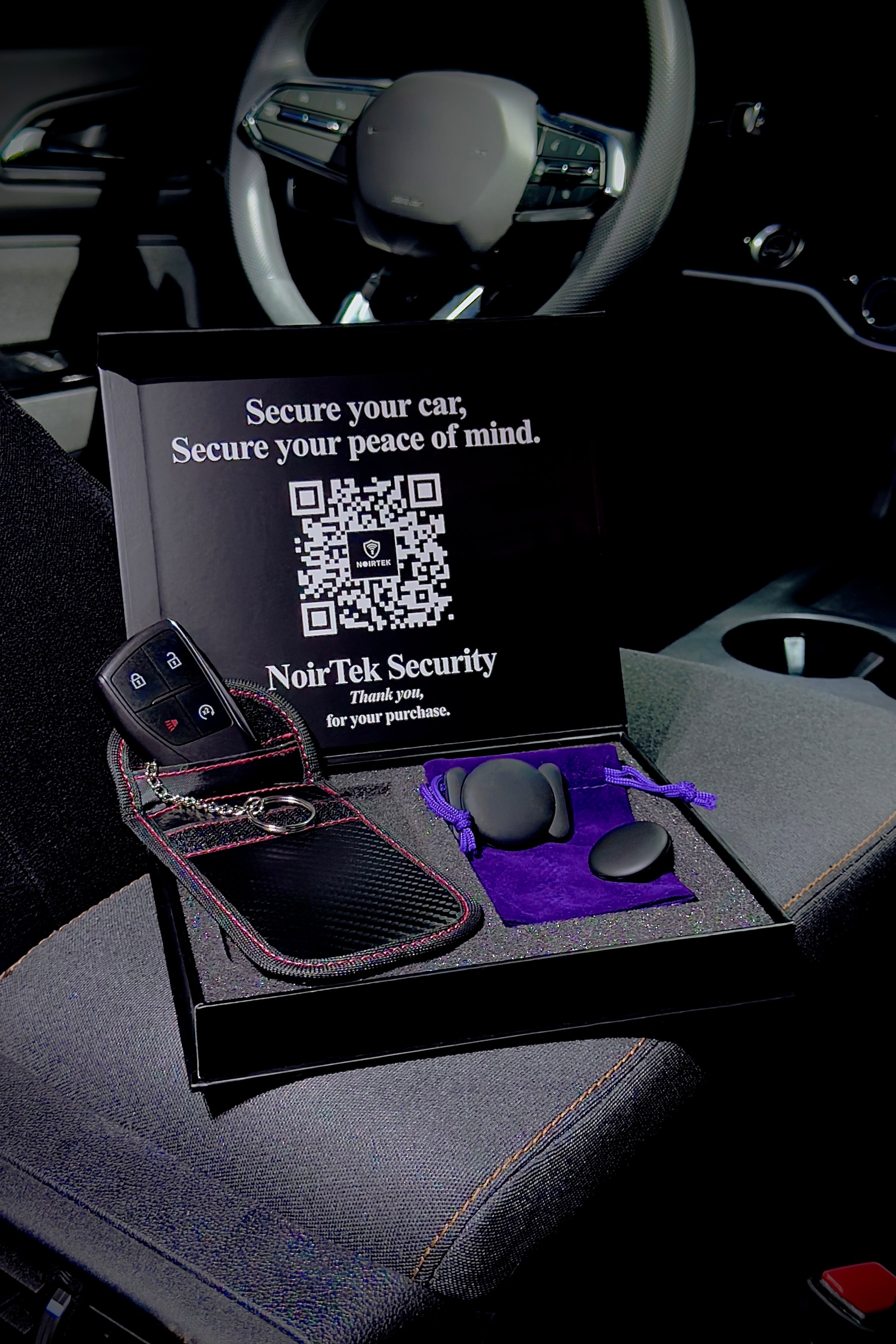 Relay Theft Prevention Kit