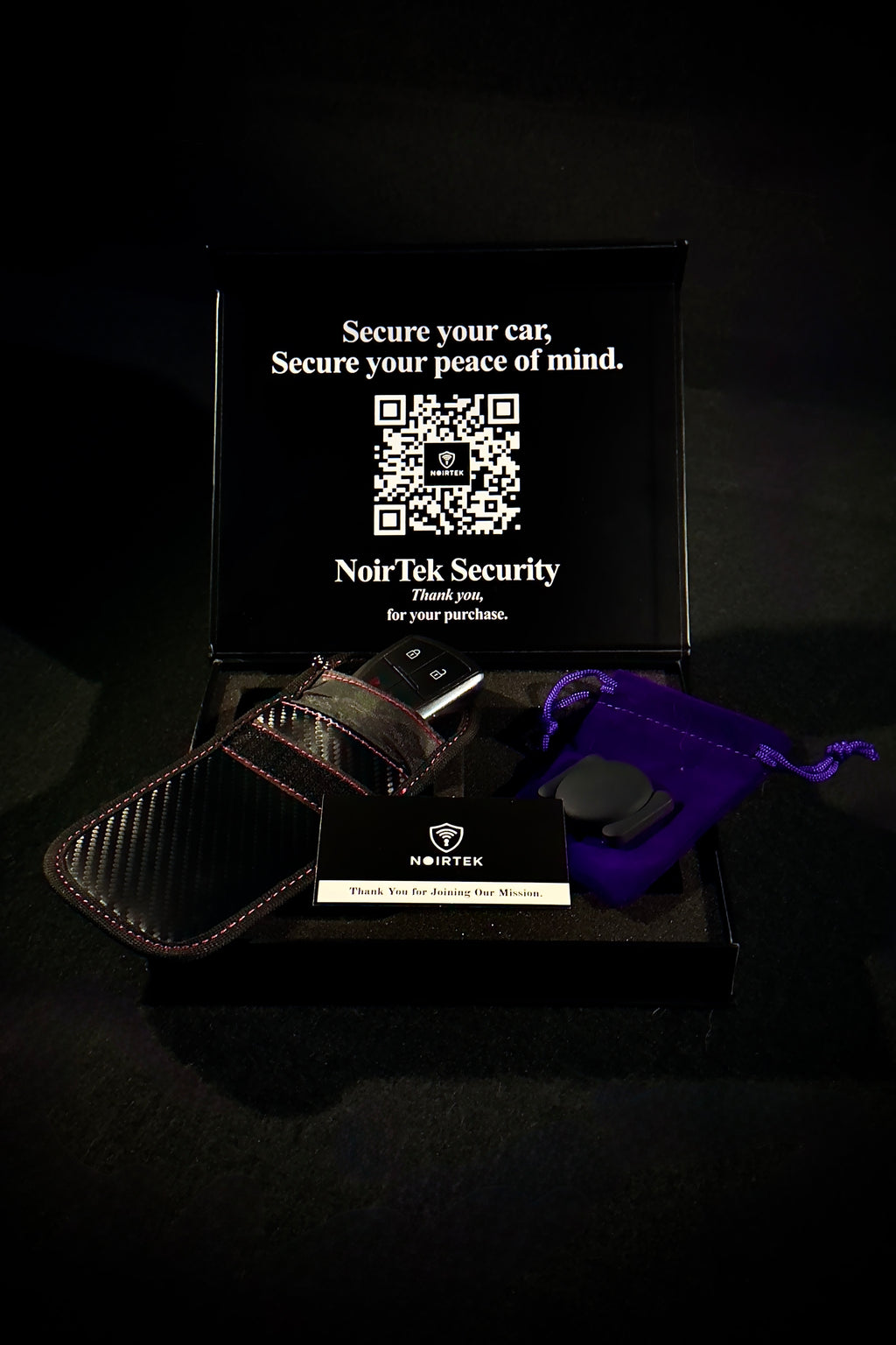 Relay Theft Prevention Kit