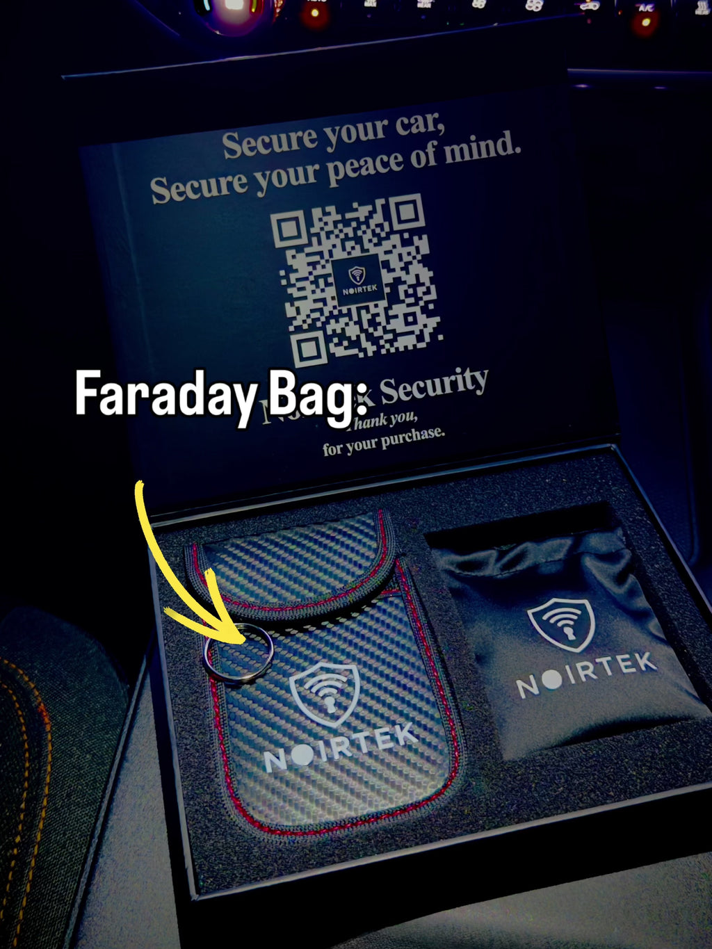 Relay Theft Prevention Kit